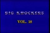 Big Knockers 18 snapshot 1