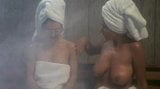 Uschi digard e amico in sauna snapshot 4