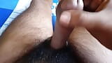 Masturbation with Desi Thick Dick snapshot 5