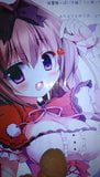 Akari(Original)SoP snapshot 2