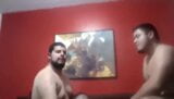 Quente jovem urso trio snapshot 15