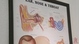 Dra. Nina Lawless oferece fisioterapia anal em Savannah snapshot 2