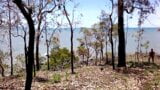 Piste de la plage de Cairns snapshot 3