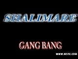 Shalimare Gang Bang snapshot 1