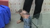 Bastinado dirty soles snapshot 2