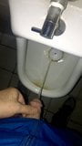 Brock pinkelt in ein öffentliches Urinal. snapshot 4