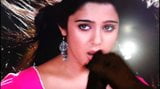 Chubby thevidiya charmi cum hołd snapshot 4