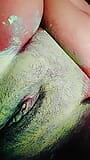 Muschimassage creampie muschi snapshot 4