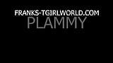 Frankstgirlworld: Pammy elegante e sexy! snapshot 1