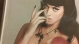 My Katy Perry Cum Tribute snapshot 9