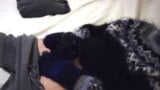 Wool, Sweater Fetish.  Long extended masturbation and fapping with sweaters, sweater pants, mittens and a large cumshot snapshot 15