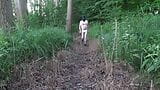 Outdoor-nackter Spaziergang beginnt durch Wald und Felder snapshot 3