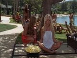 Carmen electra - Baywatch snapshot 3