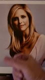 Sarah Michelle Gellar Sperma-Tribut snapshot 4