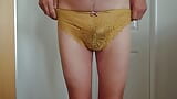 My Knickers合集 snapshot 4