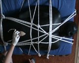 Grey and white - Slave is in the neoprene bodybag snapshot 12