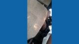 Mallu esposa follando conductor en coche - marido graba video snapshot 6