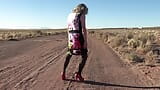 Mrs Samantha dances to the Eagles song Hotel California, in the desert near Winslow Arizona snapshot 11