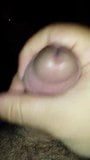 busting a nut snapshot 1