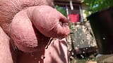 Uncut cock pissing through wet foreskin in the garden snapshot 8