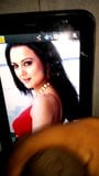 Preity Zinta prettiest cum tribute snapshot 3