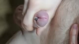 Pierced Cock with Meatotomy Closeup Cum Masturbation Ball Massage snapshot 11