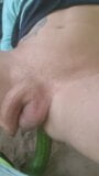 Sorryversaut outdoor gurke anal snapshot 2