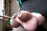 Tied Nuts Over Pathetic Tiny Penis snapshot 10