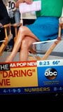 Lara Spencer benen snapshot 6