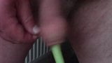 Spring onion foreskin snapshot 12