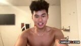 Bel ragazzo asiatico in webcam snapshot 10