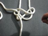 Challenge Knot snapshot 4