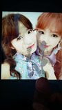 Izone Hitomi Chaewon - homenagem a porra snapshot 5