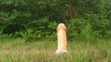 Outdoor-Monster-Dildo-Reitsucht 32 aug-21-2014 snapshot 1