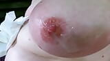 Abofetear sus tetas y correrse en ella mientras hace de picnic snapshot 12