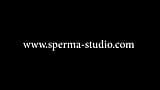 Sperma-studios, sperme et creampie, nora, secrétaire - court-métrage - 31125 snapshot 9