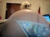 Whooty en tu cara - derty24 snapshot 4