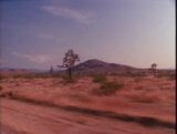 Desert Passion 1993 snapshot 4