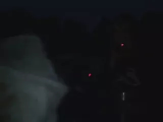 2 Mädchen küssen sich vor ihren Freunden
