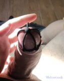 Andra försöket penis plug bur snapshot 3