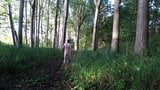 AUTUM NHIKING KIT STRIP, NAKED WALK IN THE WOODS snapshot 4