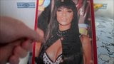 Nicole Scherzinger Cum Tribute 11 snapshot 4