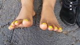 Suole e dita dei piedi ebano snapshot 3