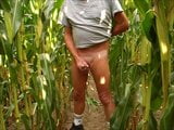 wanking in the corn field snapshot 8