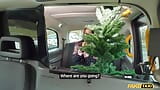 Fake Taxi Petite Asian Lia Lin hot POV blowjob and hardcore sex in her Christmas jumper snapshot 2