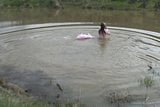 Vestido rosa em um lago ... snapshot 4