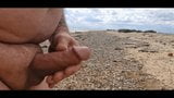 Openbare strandbouw met grote cumshot snapshot 8