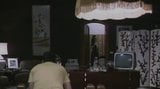 MILENA VUKOTIC NUDA IN ITALIAN VINTAGE MOVIE. HAIRY PUSSY snapshot 3