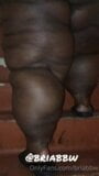 BIG BODY TING snapshot 1