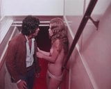 Wild Honey (1972) snapshot 14